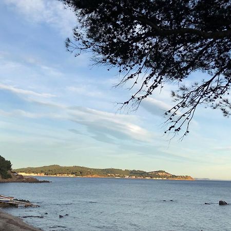Studio St-Mandrier 300M Mer Saint-Mandrier-sur-Mer Kültér fotó