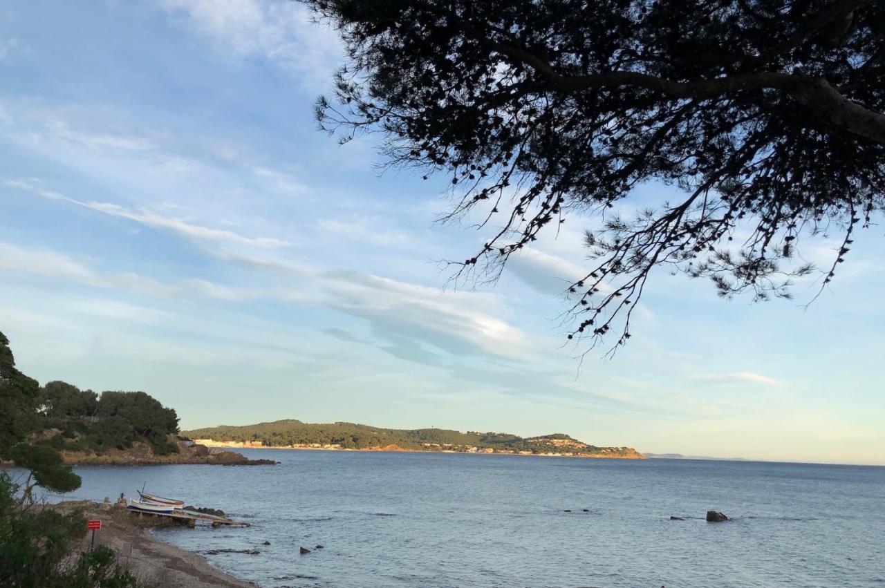 Studio St-Mandrier 300M Mer Saint-Mandrier-sur-Mer Kültér fotó